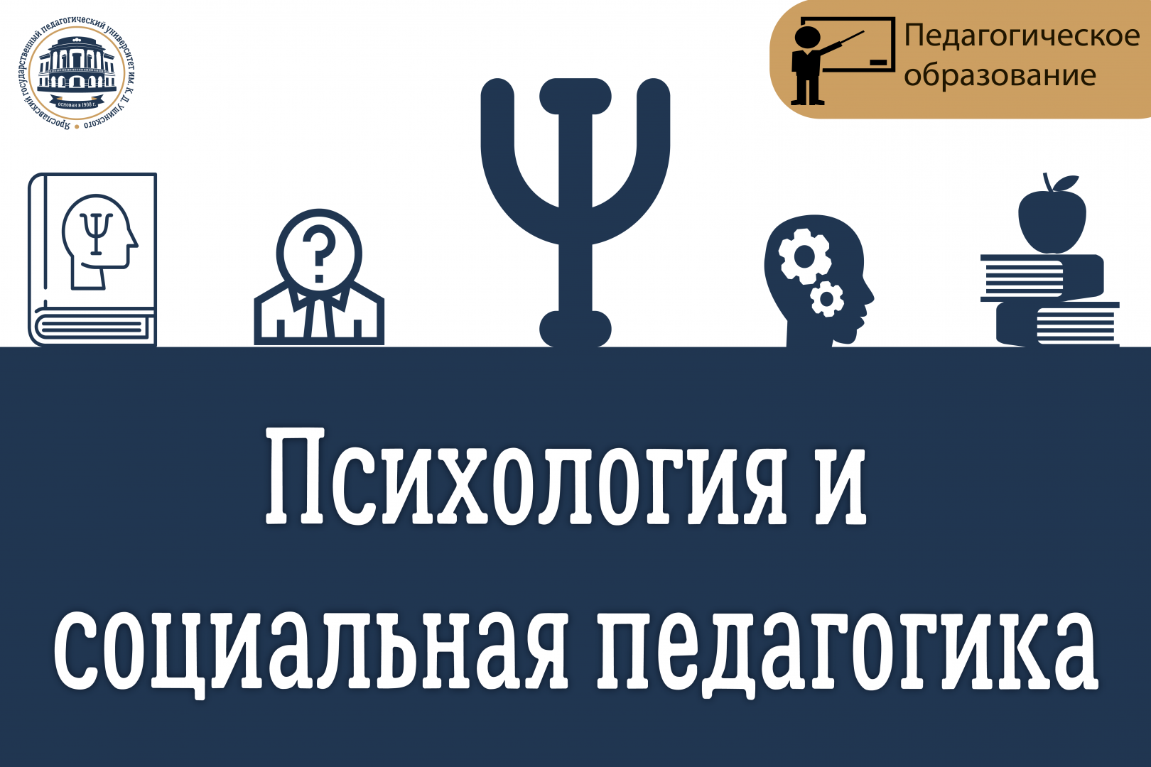 Психология и педагогика. Психология и социальная педагогика. Психология и педагогика картинки. Педагогическая социальная психология. Соц педагогика и психология.